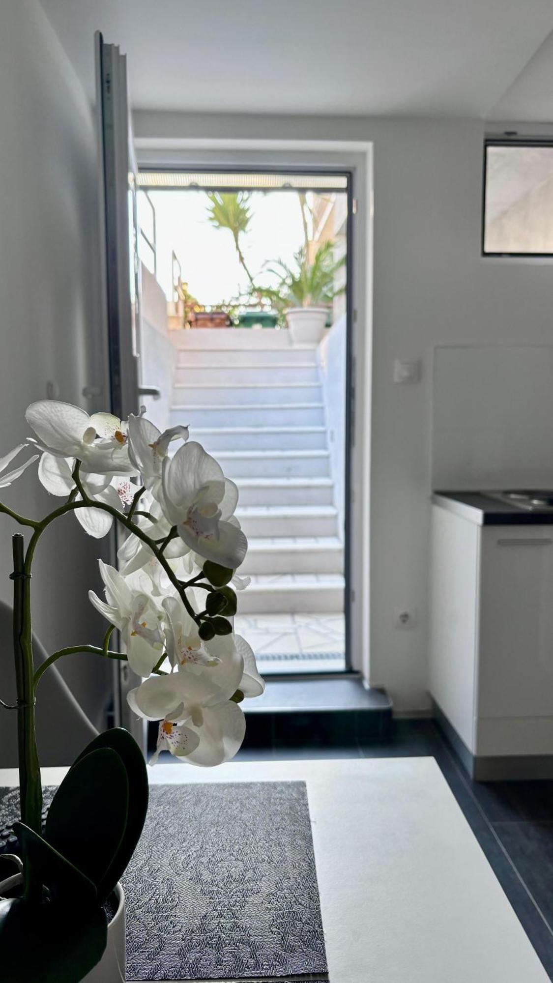 Apartman Branka *** Split Extérieur photo